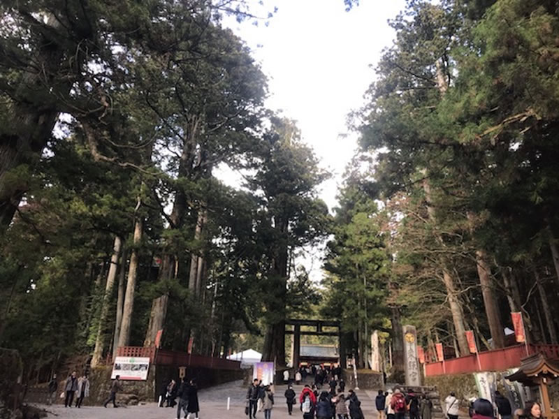 Toshogu Shrine approach