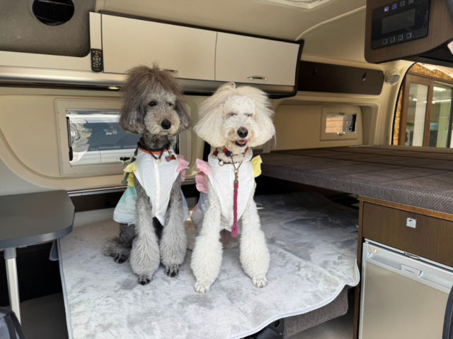 ウィングレンタカー岐阜関店